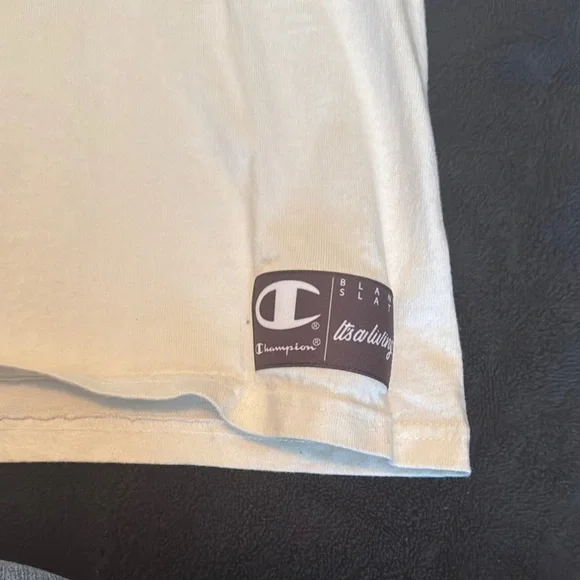 Vintage Champion Blank Slate White It’s a Living, The Way Up Short Sleev… - Picture 4 of 5
